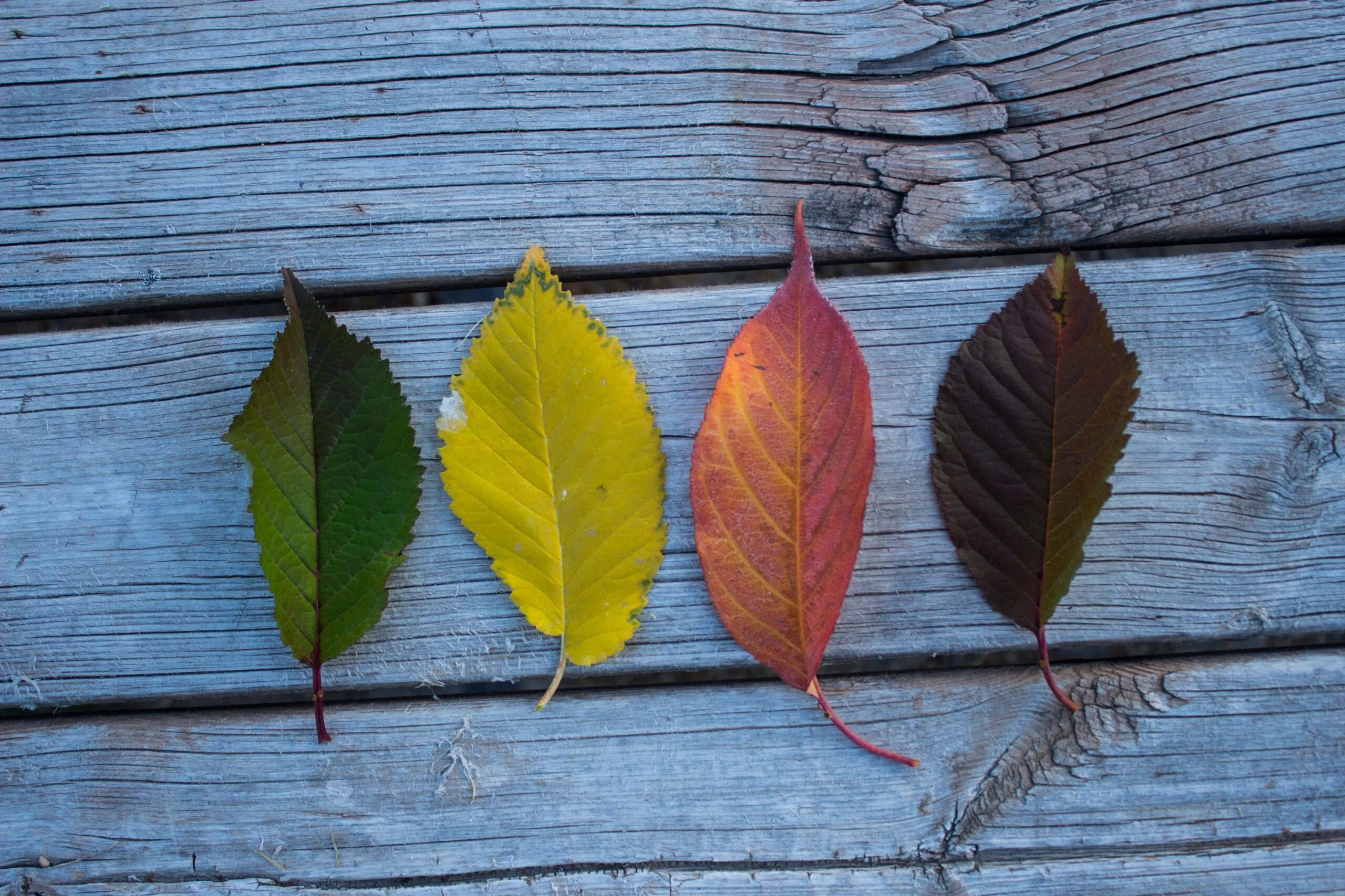 Living Cyclically