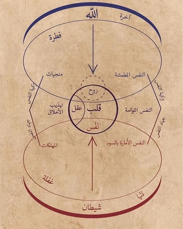 Dar al-Shifaa 2018
